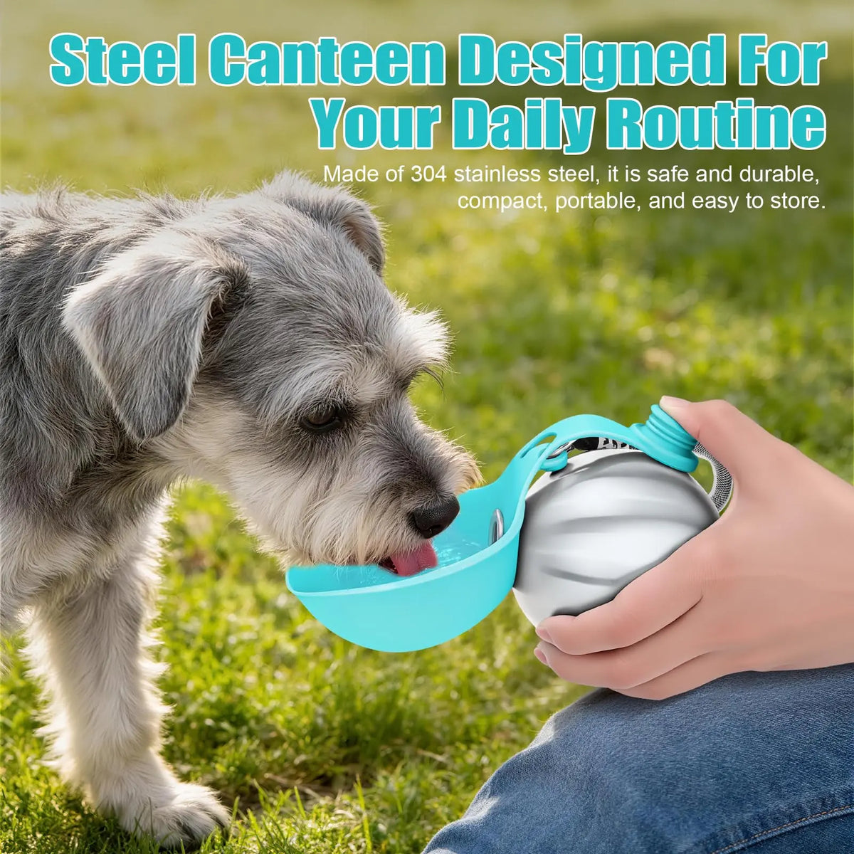 Lumikata 2-in-1 Portable Dog Water Bottle with 10oz Stainless Steel and Silicone Foldable Bowl - Leak-Proof Design for Small Dogs and Pet Feeding Supplies